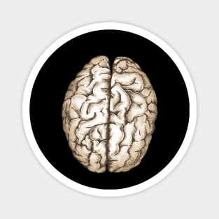 Brain human anatomy,vintage style, mental, watercolor Magnet